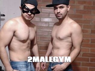 2MALEGYM