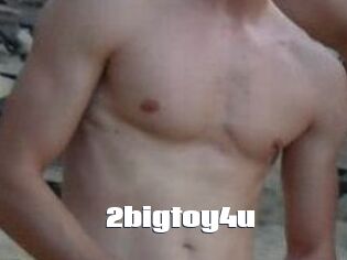 2bigtoy4u