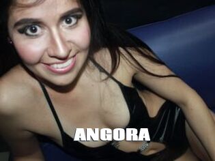 ANGORA