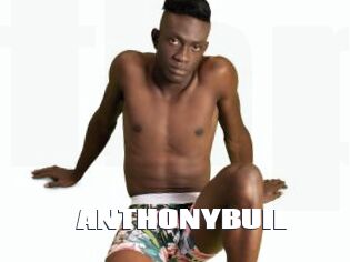 ANTHONYBUIL
