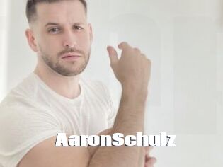 AaronSchulz