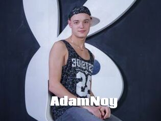 AdamNoy
