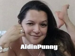 AidinPunny