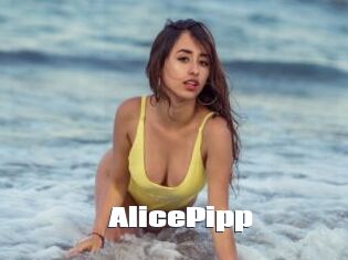 AlicePipp