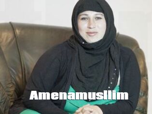 Amenamusllim