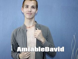 AmiableDavid