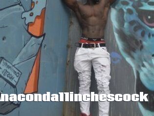 Anaconda11inchescock