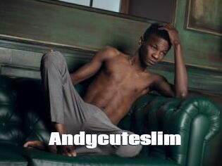 Andycuteslim