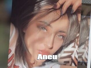 Aneu