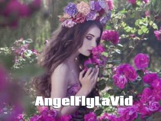 AngelFlyLaVid