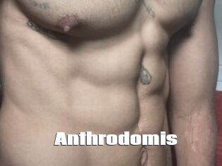 Anthrodomis