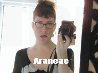 Araneae