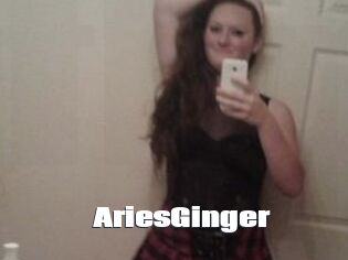 AriesGinger