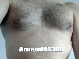 Arnaud95300