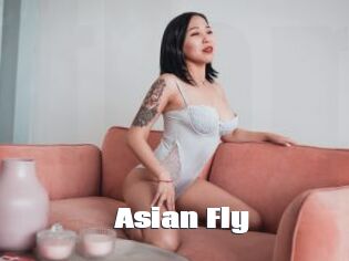 Asian_Fly