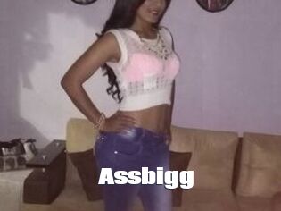 Assbigg