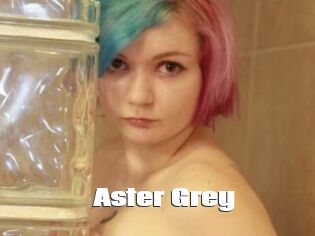 Aster_Grey