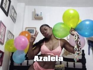 Azaleia