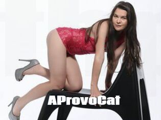 AProvoCat