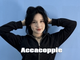 Accacopple