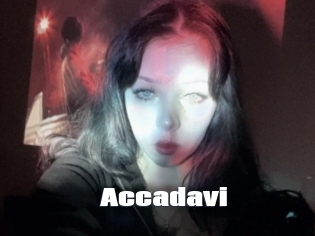 Accadavi