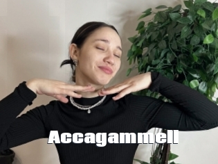 Accagammell