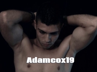 Adamcox19