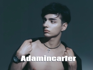 adamincarter The hot porn