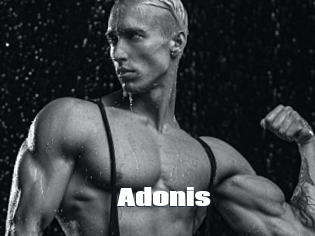 Adonis_