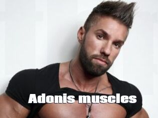 Adonis_muscles