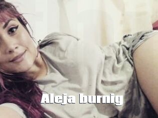 Aleja_burnig