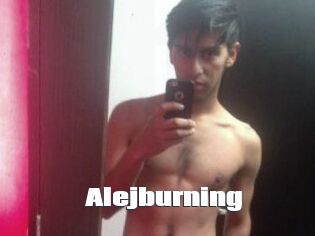 Alejburning