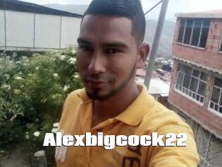 Alexbigcock22