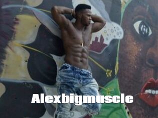 Alexbigmuscle
