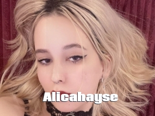Alicahayse