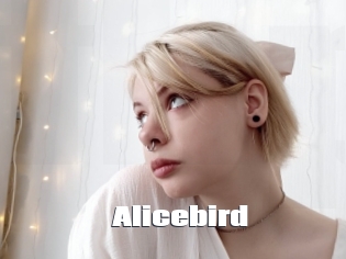 Alicebird
