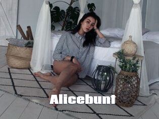 Alicebunt