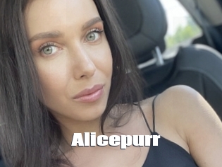 Alicepurr