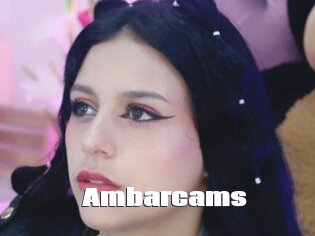 Ambarcams