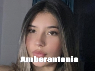 Amberantonia