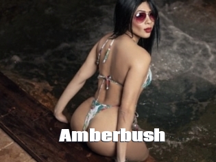 amberbush The hot porn