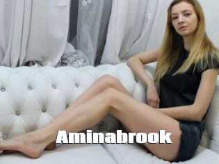 Aminabrook