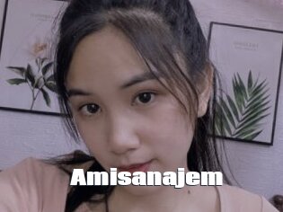 Amisanajem