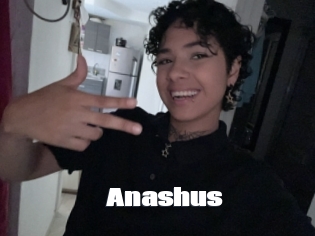 Anashus