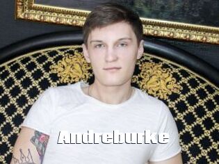 Andreburke
