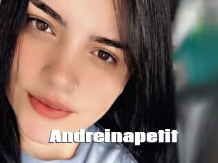 Andreinapetit