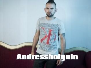 Andressholguin
