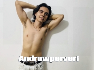 Andruwpervert