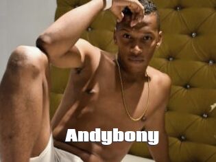 Andybony