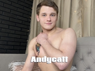 Andycatt